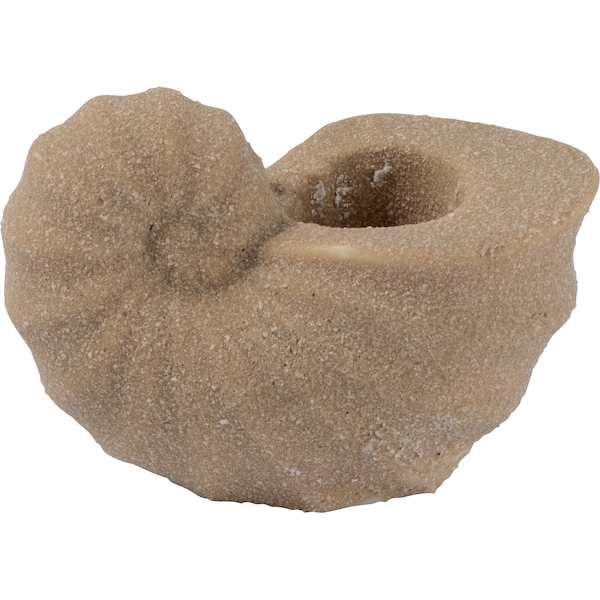 Набор подсвечников holder conch beige 2 шт