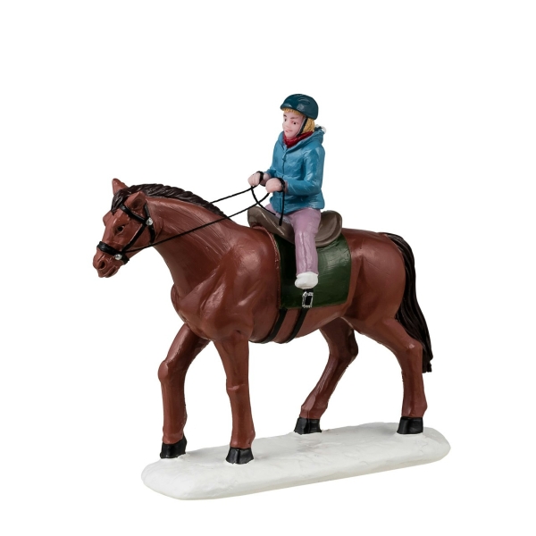 Урок верховой езды